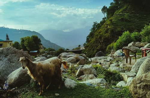 Bathri Resort | Private room ∙ 2 guests