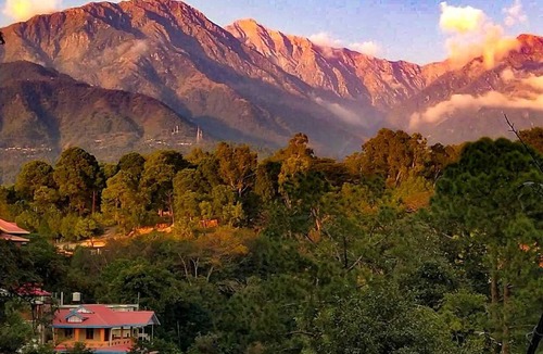 Palampur Resort | Private room ∙ 4 guests