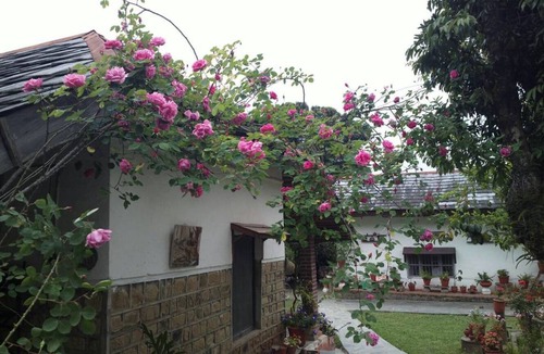 Gopalpur Resort | Private room ∙ 5 guests