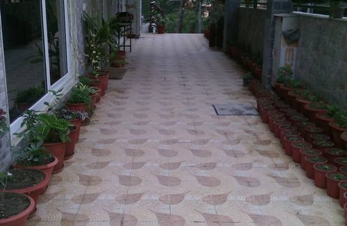 Palampur Resort | Private room ∙ 2 guests