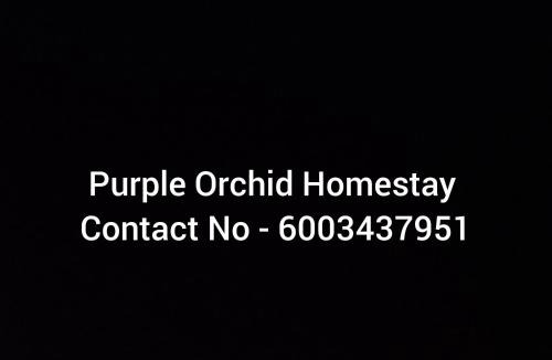 Gauhati House | Purple Orchid