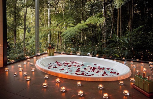 Upper Crystal Creek House | Rainforest Canopy Bungalow-Booyong