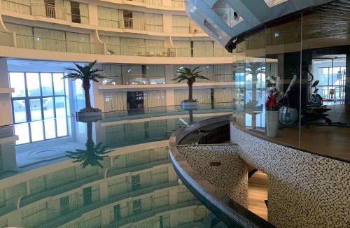 Dumas Apartment | Rajhans Belliza Apartments Units