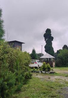 Shillong Other | Rimaaia homestay