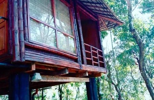 Vayittiri Resort | Rippon Mount Resorts