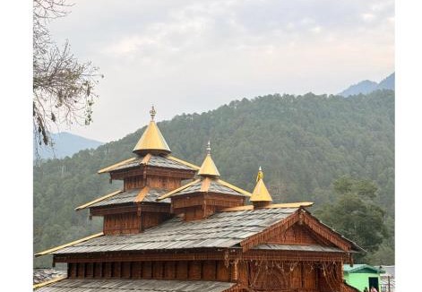 Rajgarhi Hotel | Rishi valley Homestay