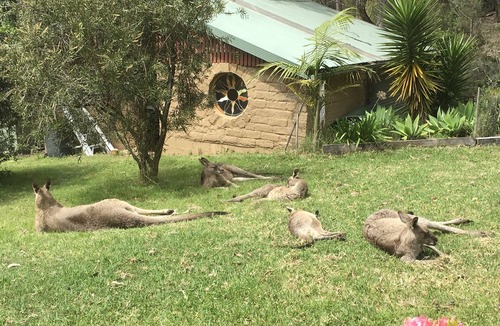 Tanja Cottage | Rustic mudbrick cottage in a quiet bush setting, near Tathra. 2 beds, sleeps 4.