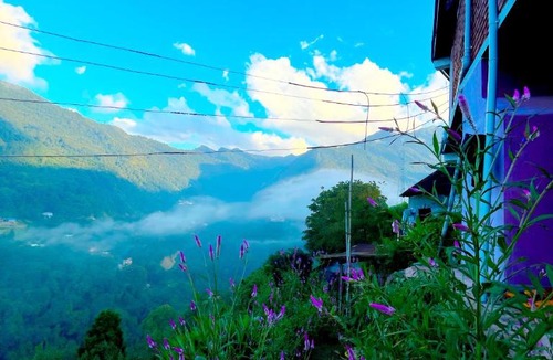 Kohima House | Saus Home