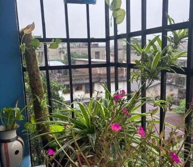 Sualkuchi Apartment | Serene Cove Homestay