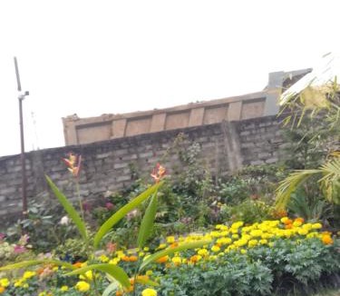 Guwahati House | Seuj Kutir Homestay