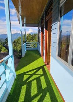 Lebong and Mineral Spring Tea Garden House | Shantikunja Homestay