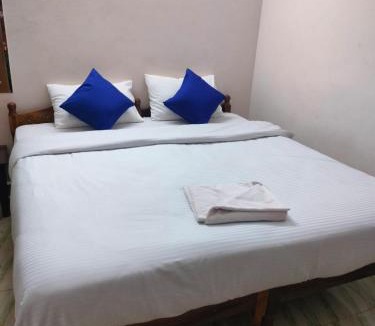 Anjuna House | Shree Stay