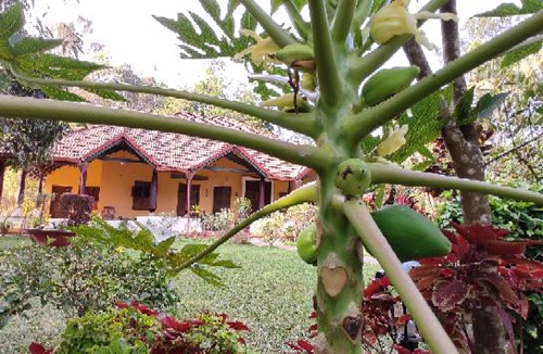 Madikeri House | SILVER BROOK ESTATE HOMESTAY