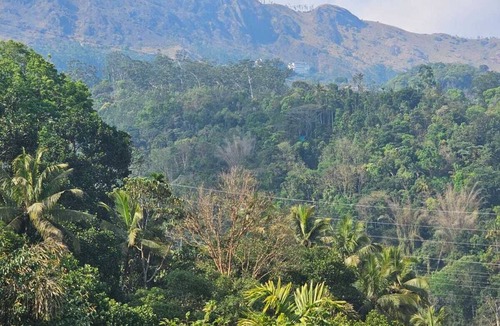 Chithirapuram Resort | SKYLOFTE RESORTS MUNNAR