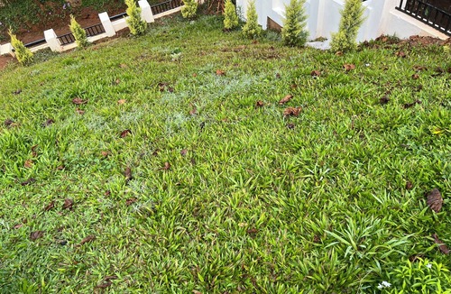 Sulthan Bathery Villa | Spacious Villa for large families or small gatherings, with great forest view.