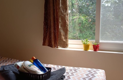 Sathya Sai Layout House | STAYCATION: A cozy room in a Bnb surrounded by lush greenery