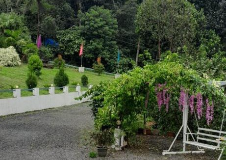 Talipparamba House | Taarzans Paithal Mist