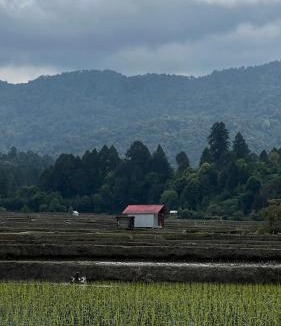 Itanagar House | Tani Adventure