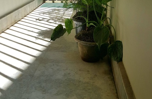 Gangtok House | The Aura-live homely
