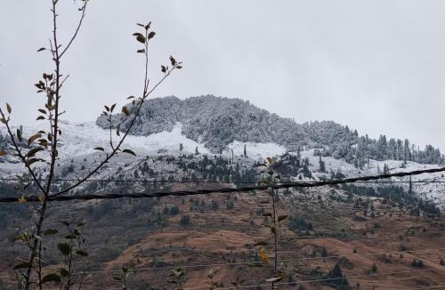 Burwa Hostel | The Bunker Burwa Manali