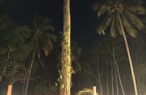 Palakkad House | The Cool Retreat, Pool Extra, at gaya3farms