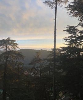 Chhota Shimla Bed & Breakfast | The Edgeworth