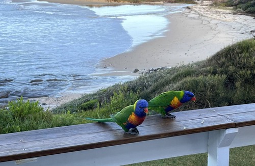 Ulladulla House | ‘The Fourshaw’ on Racecourse beach