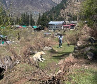 Jakha Resort | The Himalayan Cafe THC