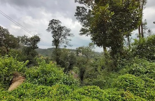 Mahadevpet Apartment | The Janani city view stay madikeri