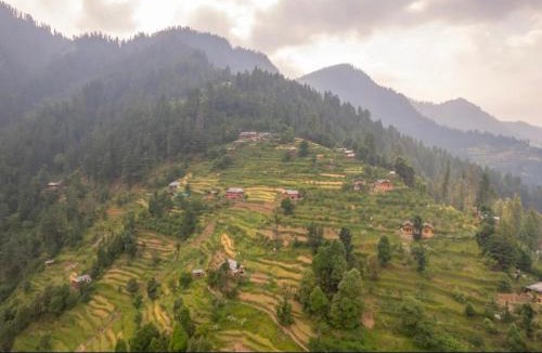 Banjar Ski Chalet | the jibhi nest cottage