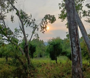 Palampur House | the Kutumb- Where the Himalayas come alive!