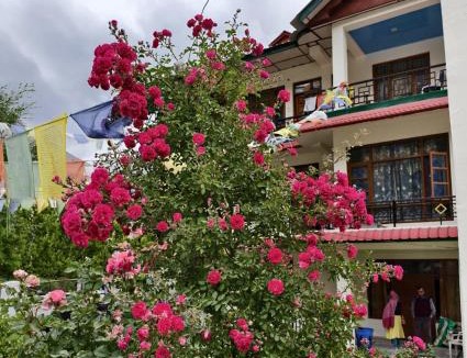 Khab House | The Moonland Homestay
