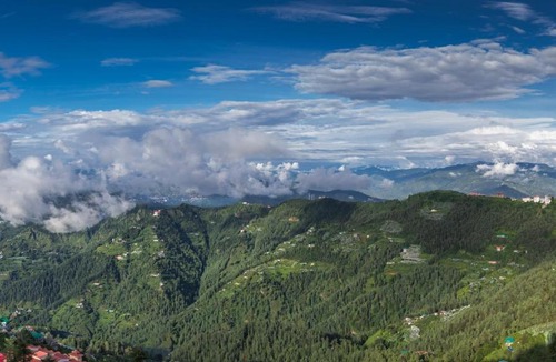 Kufri Apartment | The Nature Retreat Kufri l Family Events I Multi Cuisine Restaurant l Sky Bonfire l Lift l Power Backup l Free Parking l Kufri By Exotic Stays