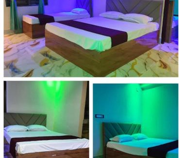 Hajo House | The Nest lodge