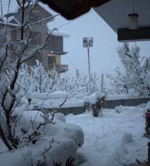 Simsa Village Bed & Breakfast | The Northwood Cottages, Boutique Mountain Retreat, Manali , Himalayan Views