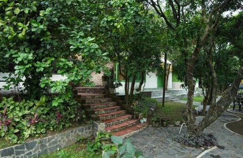Dehradun Resort | The Palm Bliss Resort - Wellness
