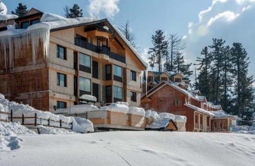 Srinagar Hotel | The Vintage Gulmarg