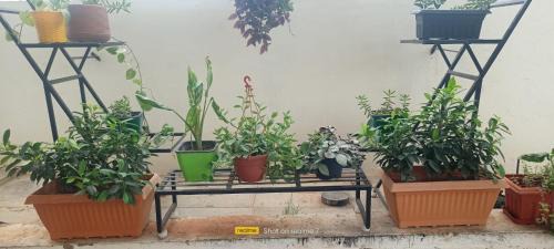 Theni Hotel | Theni hotel ramyas