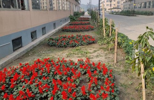 Mirpur House | Tilottama (তিলোত্তমা)