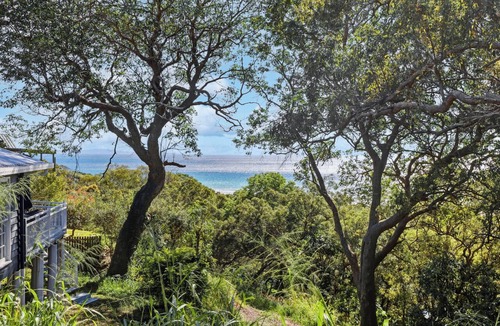 Point Lookout House | Tree House by the Sea | Modern Beach Home