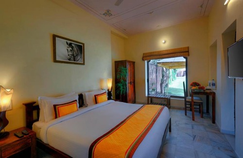 Jodhpur Resort | TreeHouse Rajbagh