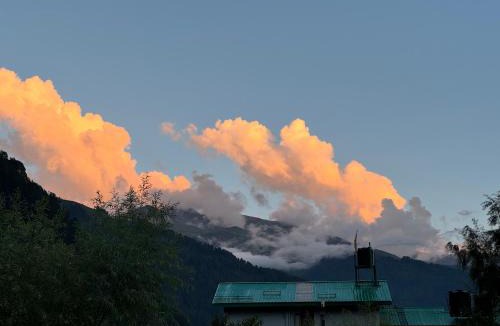 New Manali Hostel | Trippy Turtle Hostel