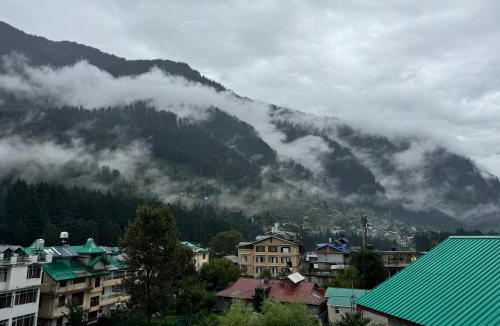 New Manali Hostel | Trippy Turtle Hostel