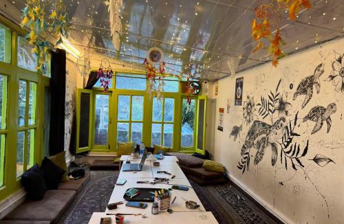New Manali Hostel | Trippy Turtle Hostel
