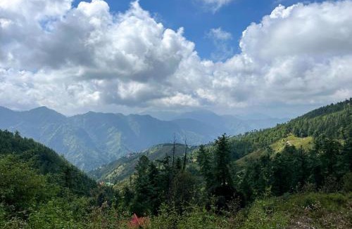Shimla Villa | Under The Pines by StayVista - 3BHK Pet-Friendly Villa with Bonfire