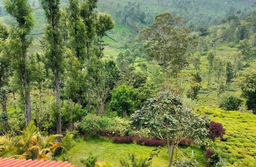 Kotagiri House | VALLEY VIEW INN is a tranquil homestay nestled in scenic hills of Kotagiri,