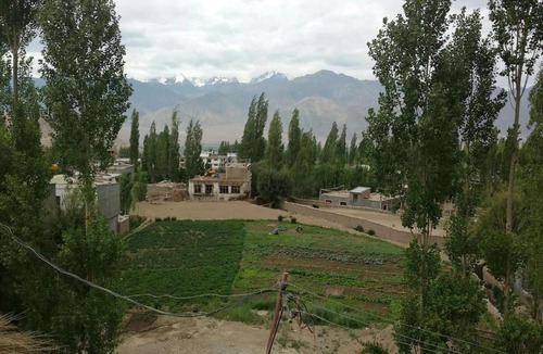 Leh House | Vamoose Gongma Guesthouse
