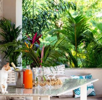 Grand Morrod House | Villa Artjuna with private pool near Calangute