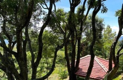 Mannarkkad Villa | Villa with 1 Bedroom