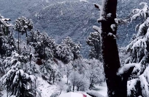 New Shimla House | Village View Homestay Shimla
